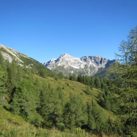 住宿加早餐酒店 玛丽安拜尔宾馆 采德豪斯