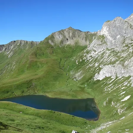 住宿加早餐酒店 玛丽安拜尔宾馆 采德豪斯